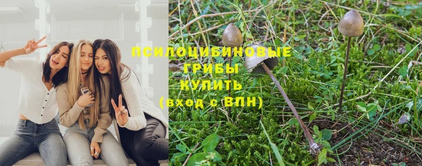 каннабис Алзамай