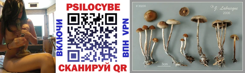 Галлюциногенные грибы мухоморы Зерноград