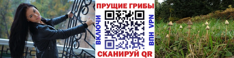 Псилоцибиновые грибы MAGIC MUSHROOMS  Зерноград 