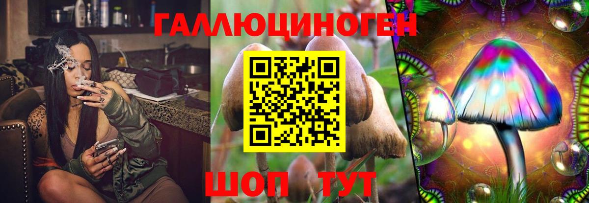 Галлюциногенные грибы мухоморы  Вход с VPN  Зерноград  Галлюциногенные грибы GOLDEN TEACHER 