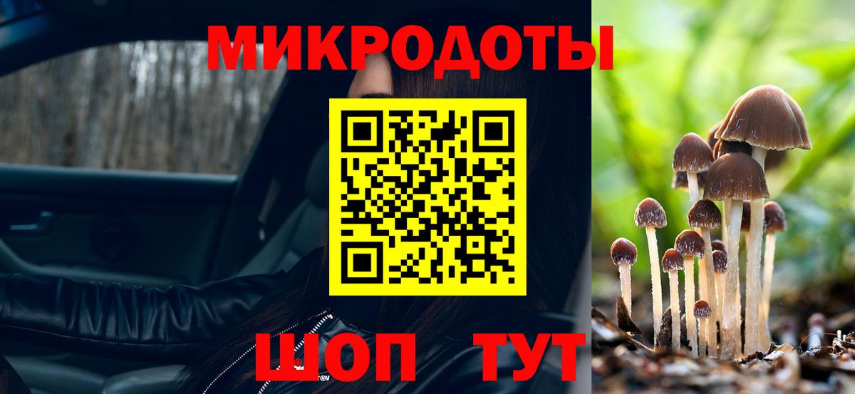 Псилоцибиновые грибы Psilocybe Зерноград